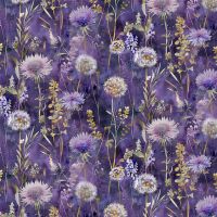 ttFLEUR-CD4215 IRIS